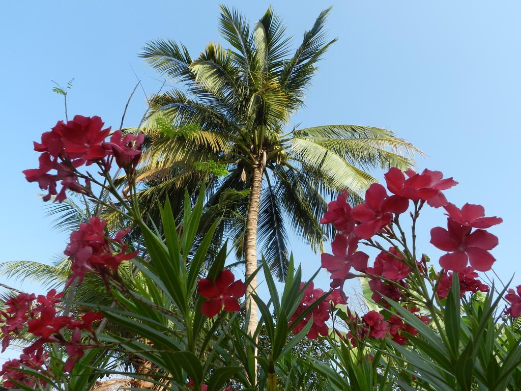 Villa Nissa Siem Reap Zewnętrze zdjęcie
