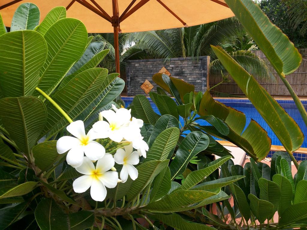 Villa Nissa Siem Reap Zewnętrze zdjęcie