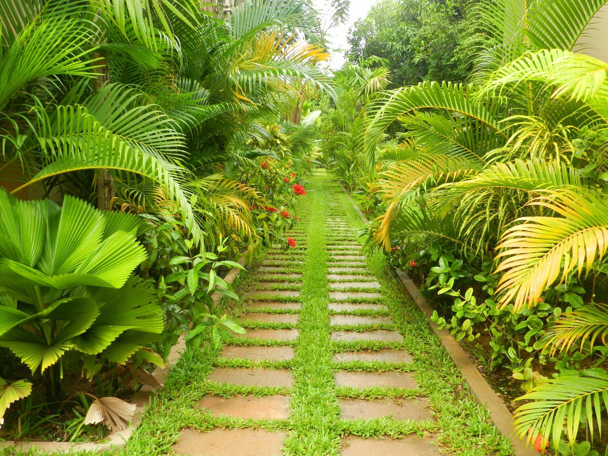 Villa Nissa Siem Reap Zewnętrze zdjęcie
