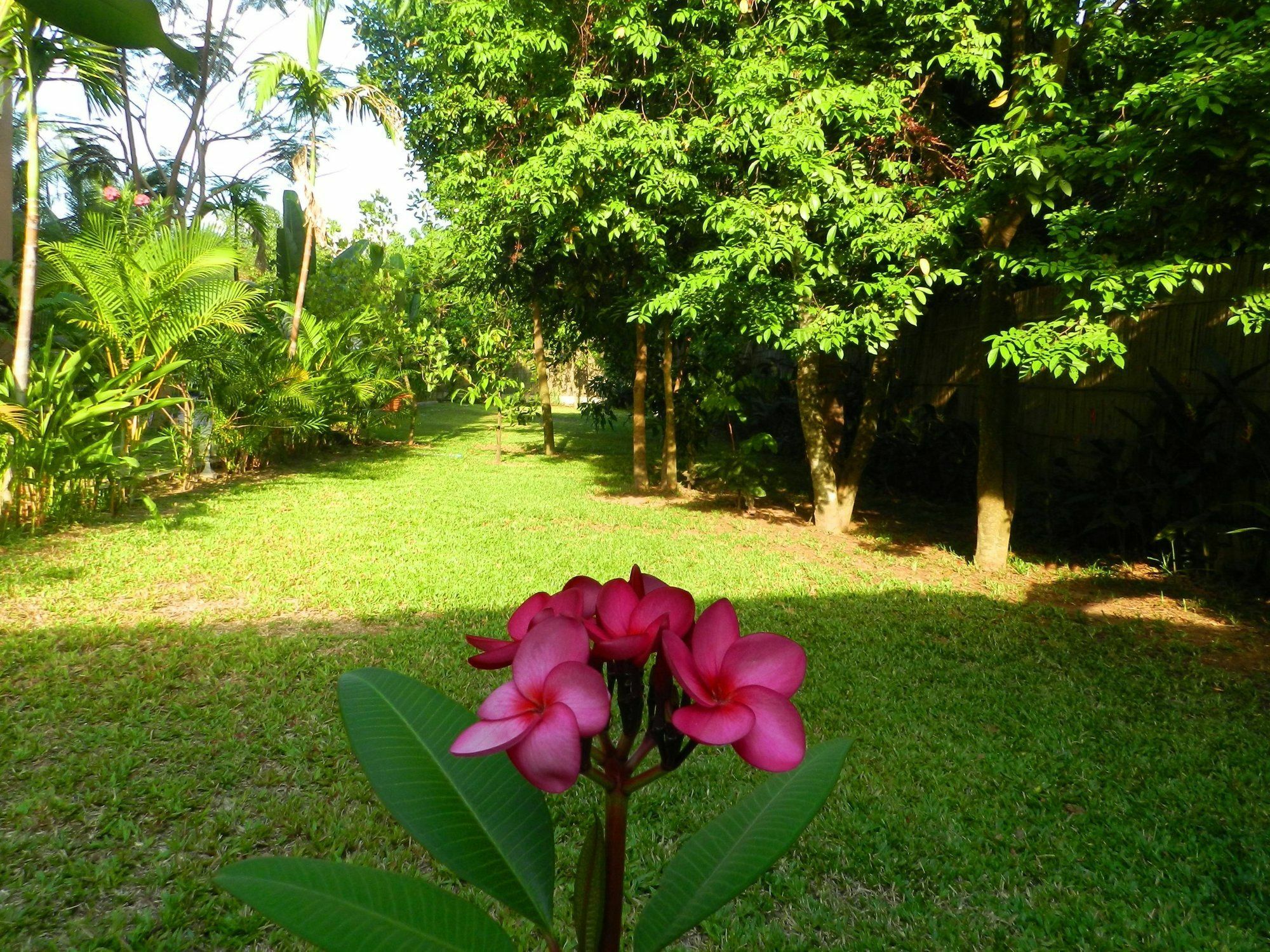 Villa Nissa Siem Reap Zewnętrze zdjęcie